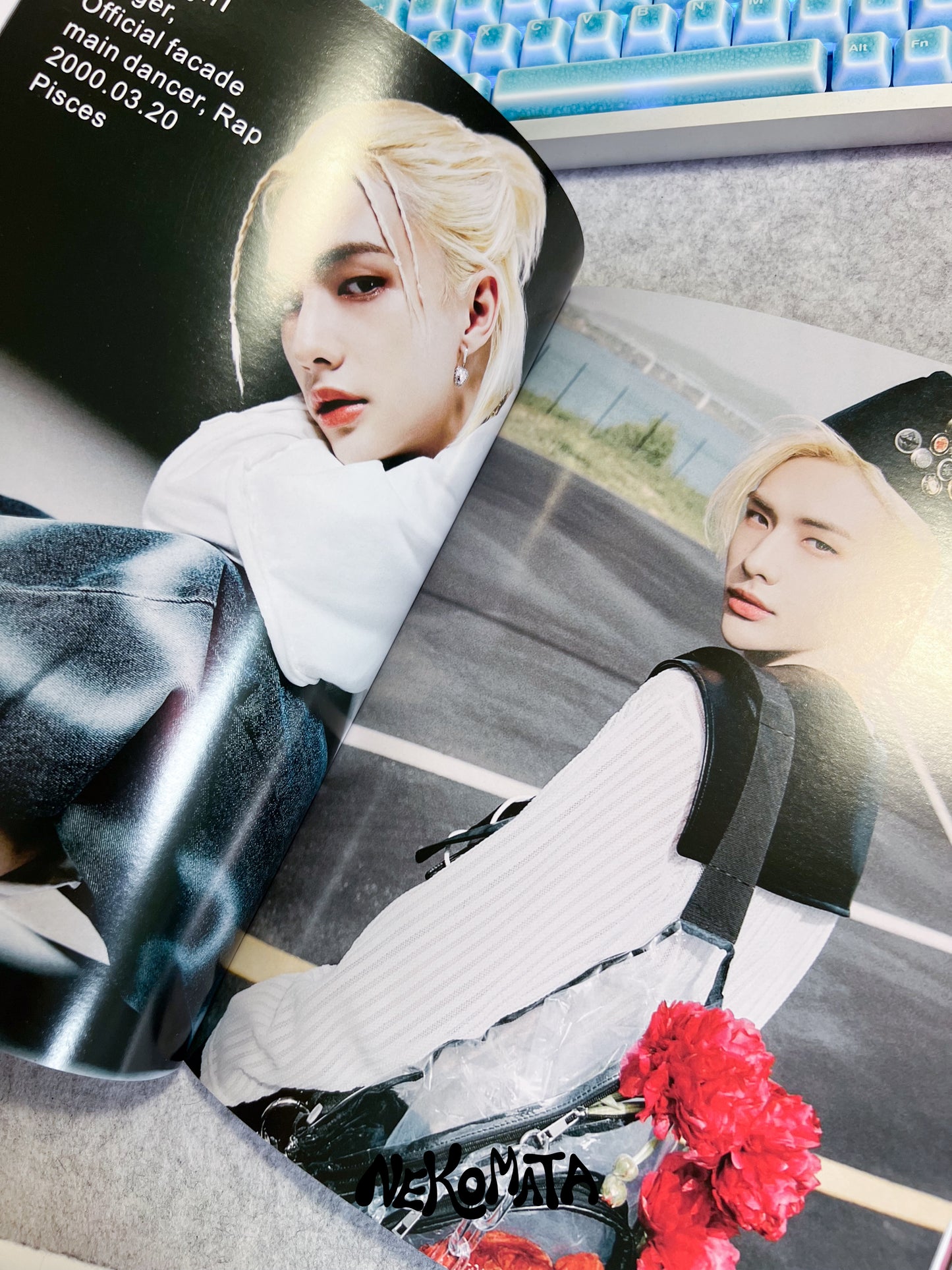 STRAY KIDS Maxident PHOTOBOOK