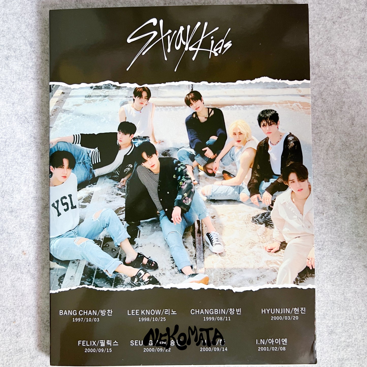 STRAY KIDS Maxident PHOTOBOOK
