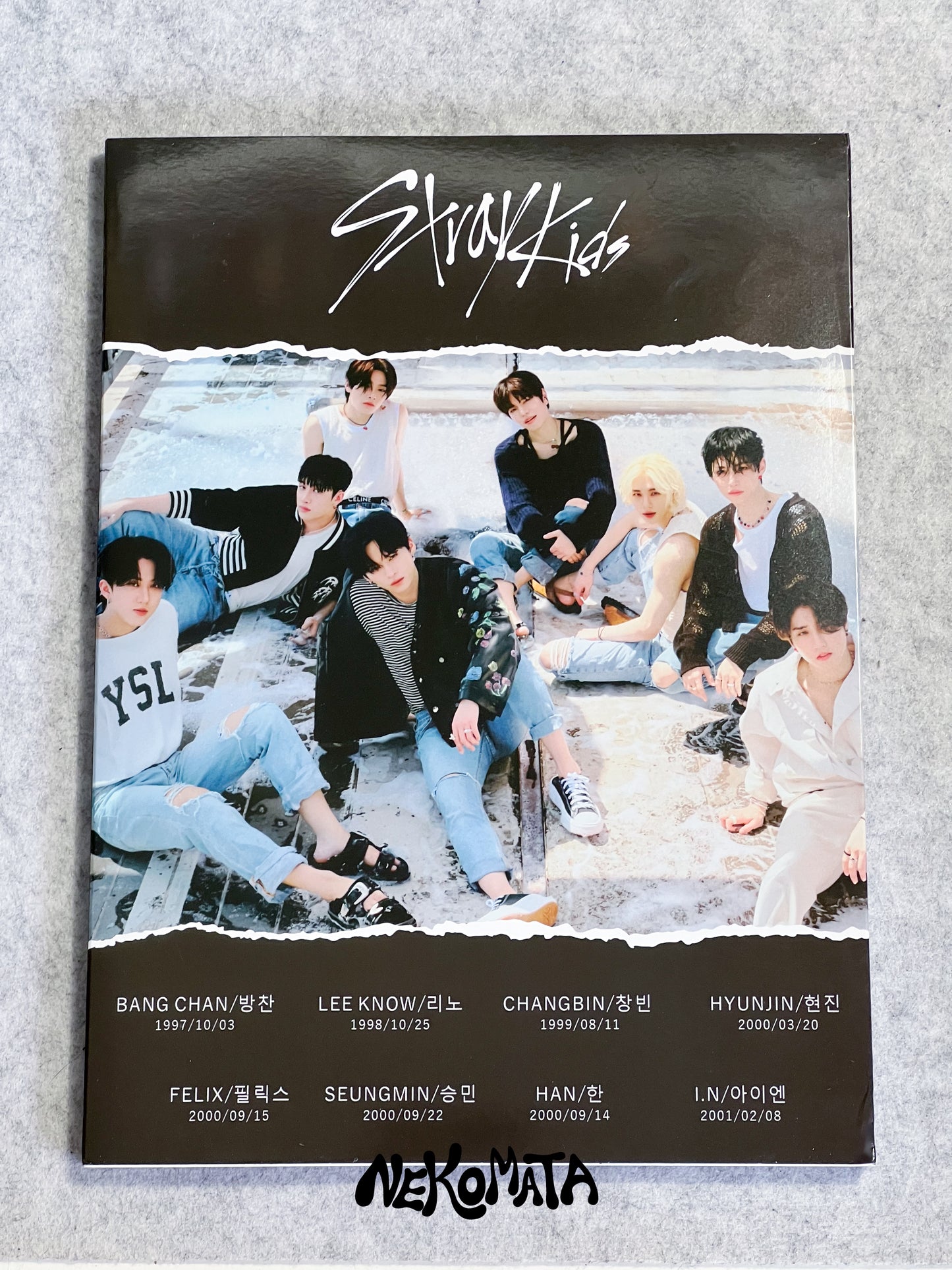 STRAY KIDS Maxident PHOTOBOOK